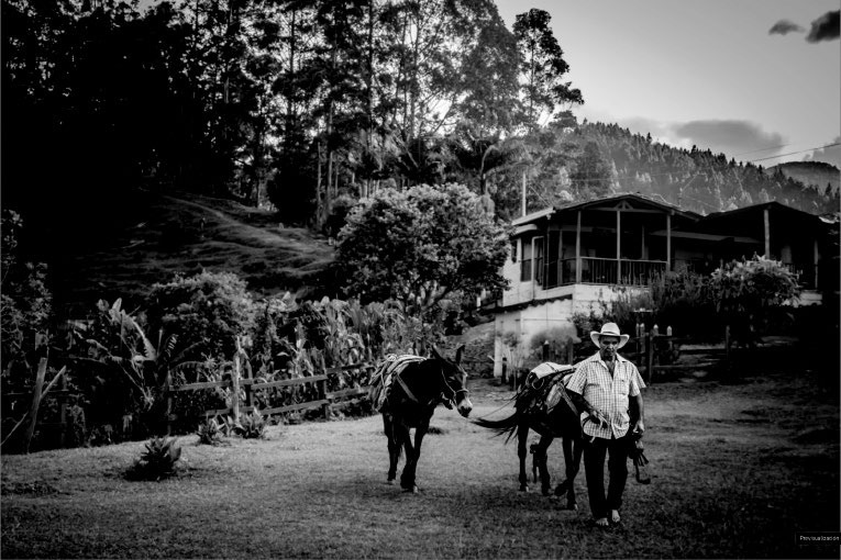 Villa Onto Camp Hotel